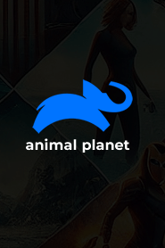 Animal Planet