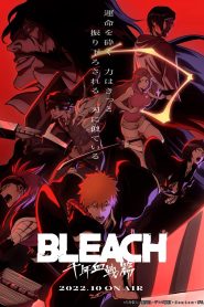 Bleach: Sennen Kessen-hen: Season 1